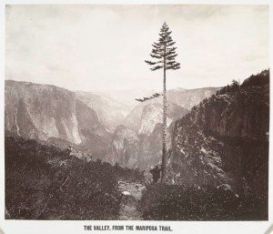 The Valley, From the Mariposa Trail, 1864, Charles L. Weed